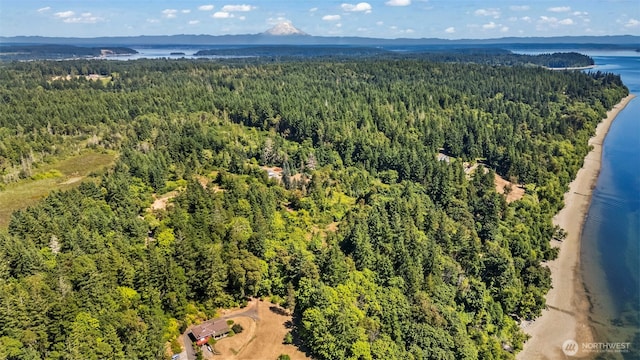 19312 58th St SW, Longbranch, WA 98351 - photo 39