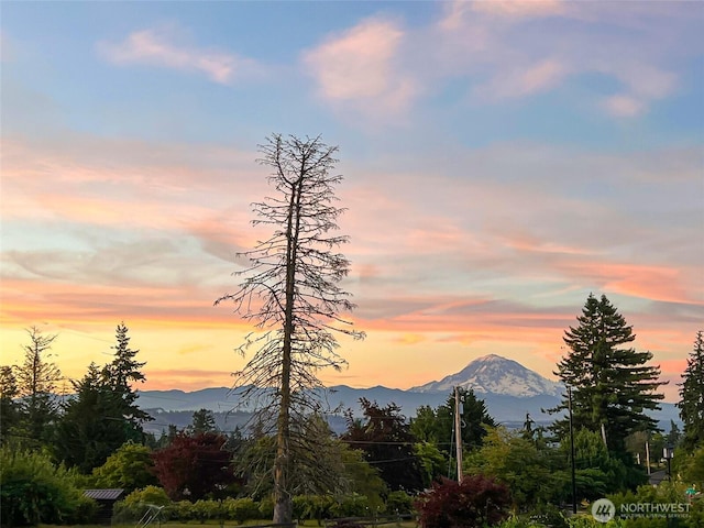 4024RD E Caldwell, Edgewood, WA 98372 - mountain view