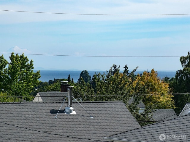136 W 13th St, Port Angeles, WA 98362 - exterior view of roof with shingles