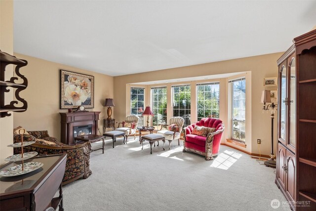 405 S Waugh Rd, Mount Vernon, WA 98274 - living room with carpet and a glass covered fireplace