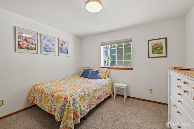 405 S Waugh Rd, Mount Vernon, WA 98274 - bedroom featuring carpet flooring and baseboards