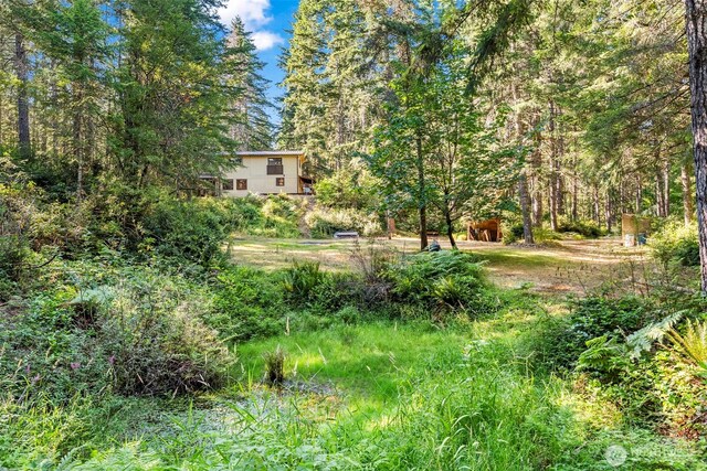 150 NE Smithy Forge Ln, Belfair, WA 98528 - photo 29