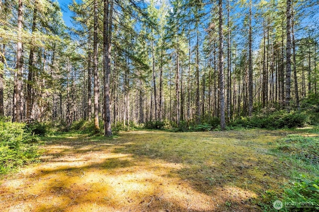 150 NE Smithy Forge Ln, Belfair, WA 98528 - photo 30