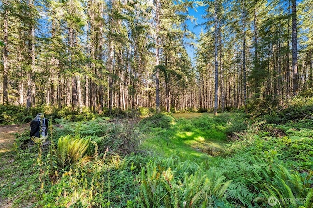 150 NE Smithy Forge Ln, Belfair, WA 98528 - photo 31