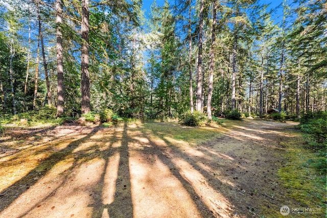 150 NE Smithy Forge Ln, Belfair, WA 98528 - photo 35