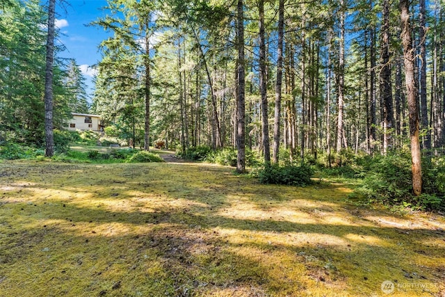 150 NE Smithy Forge Ln, Belfair, WA 98528 - photo 36