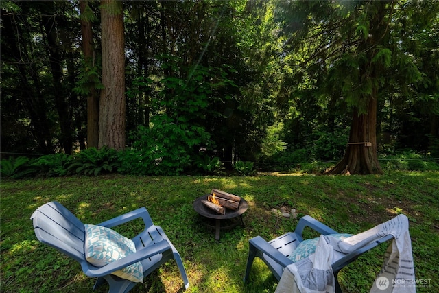 3204 30th St, Bellingham, WA 98225 - view of green lawn with an outdoor fire pit