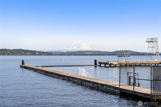 5323 NE 42nd St, Seattle, WA 98105 - photo 36