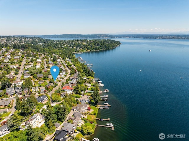 5323 NE 42nd St, Seattle, WA 98105 - photo 34