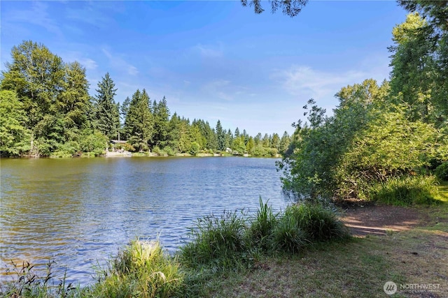 7511 Kittiwake Dr SE, Olympia, WA 98513 - water view with a heavily wooded area