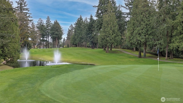 11021 Glen Acres Dr S Unit B, Seattle, WA 98168 - view of community featuring a water view, view of scattered trees, view of golf course, and a yard