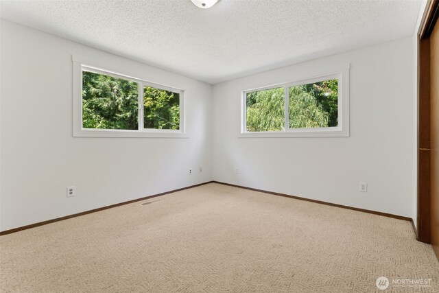 15006 Goodrich Dr NW, Gig Harbor, WA 98329 - photo 17