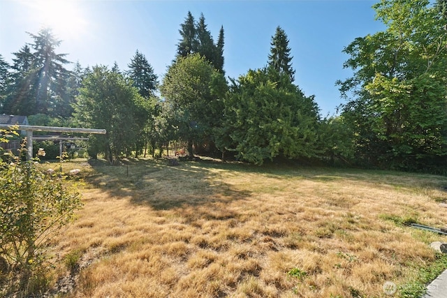 14326 Meridian Ave N, Seattle, WA 98133 - view of green lawn