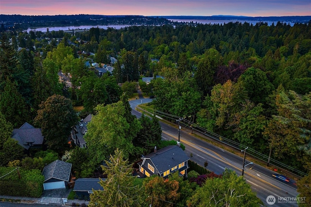 1600 Interlaken Pl E, Seattle, WA 98112 - aerial view of a forest
