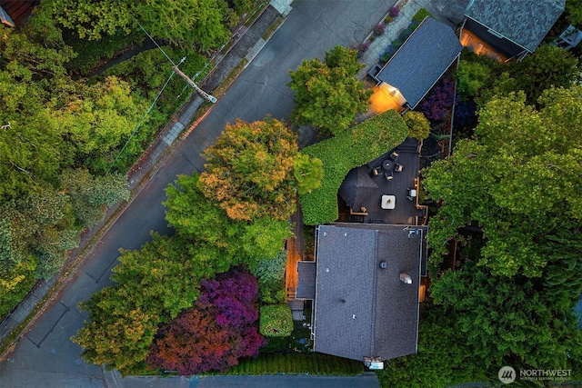 1600 Interlaken Pl E, Seattle, WA 98112 - bird's eye view