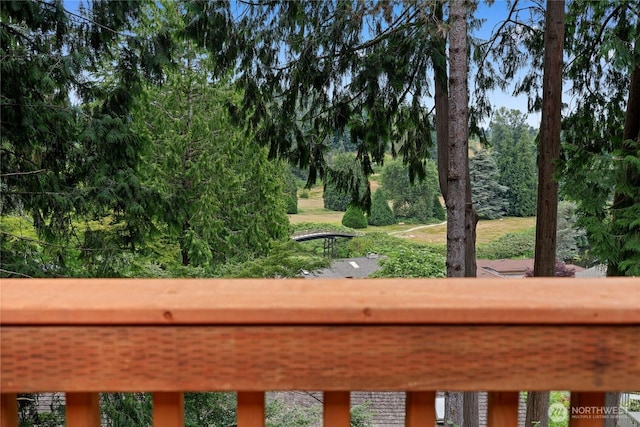 9320 Hoeder Ln, Bothell, WA 98011 - view of yard