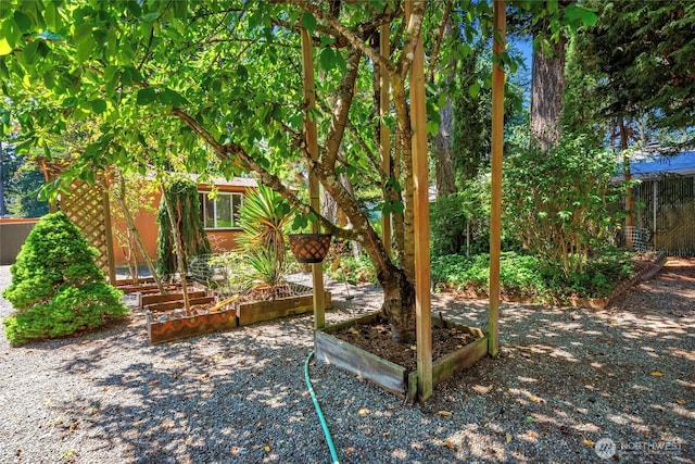 11402 83rd Ave SW, Lakewood, WA 98498 - photo 25