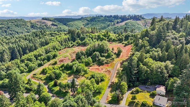 1830 Hazel Dell Rd Lot 2, Castle Rock, WA 98611