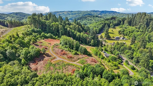 1830 Hazel Dell Rd Lot 2, Castle Rock, WA 98611