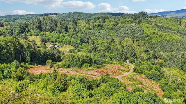 1830 Hazel Dell Rd Lot 2, Castle Rock, WA 98611