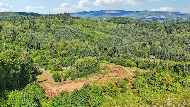 1830 Hazel Dell Rd Lot 2, Castle Rock, WA 98611