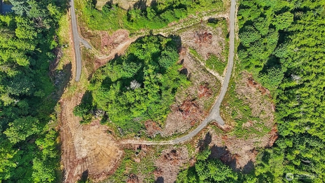 1830 Hazel Dell Rd Lot 2, Castle Rock, WA 98611