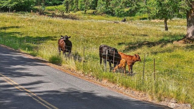 1830 Hazel Dell Rd Lot 2, Castle Rock, WA 98611