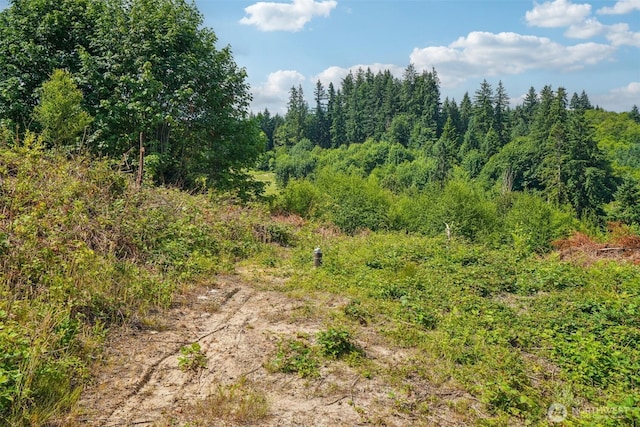 1830 Hazel Dell Rd Lot 2, Castle Rock, WA 98611