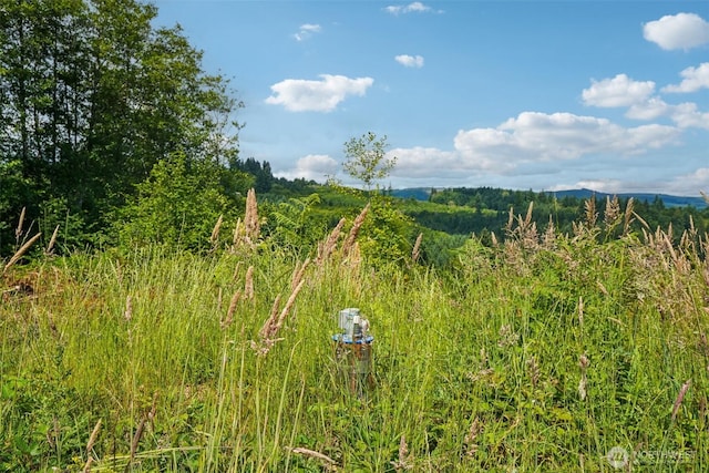 1830 Hazel Dell Rd Lot 2, Castle Rock, WA 98611