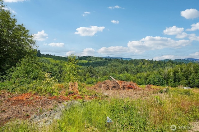 1830 Hazel Dell Rd Lot 2, Castle Rock, WA 98611