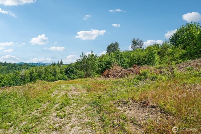 1830 Hazel Dell Rd Lot 2, Castle Rock, WA 98611