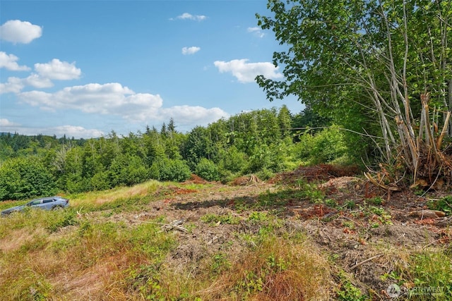 1830 Hazel Dell Rd Lot 2, Castle Rock, WA 98611