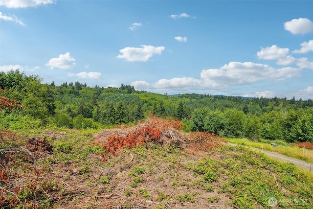 1830 Hazel Dell Rd Lot 2, Castle Rock, WA 98611