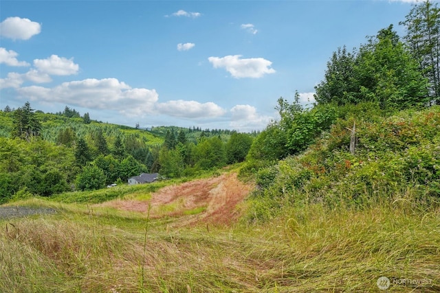 1830 Hazel Dell Rd Lot 2, Castle Rock, WA 98611