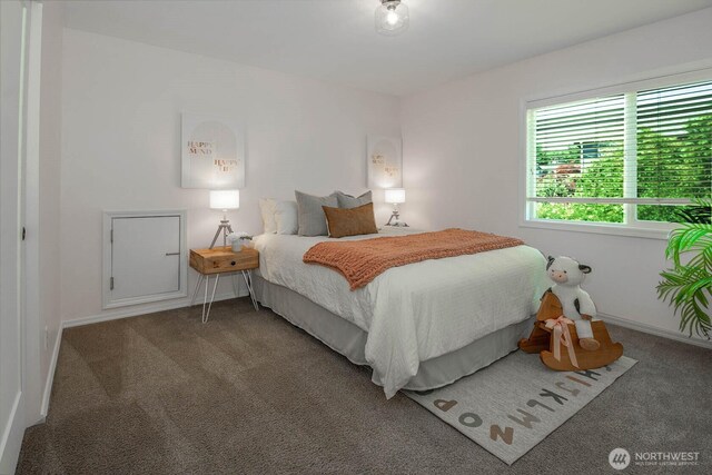 12530 68th Ave SE, Snohomish, WA 98296 - bedroom featuring carpet floors and baseboards