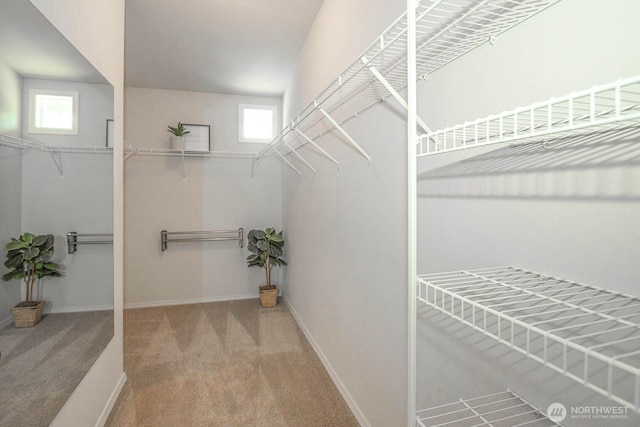 12530 68th Ave SE, Snohomish, WA 98296 - spacious closet featuring carpet
