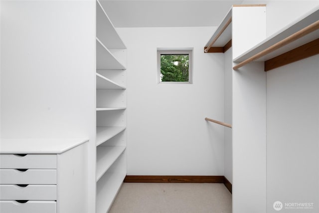 14450 Austin Pl, Anacortes, WA 98221 - walk in closet with light carpet
