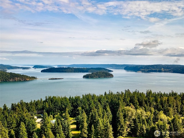 14450 Austin Pl, Anacortes, WA 98221 - water view