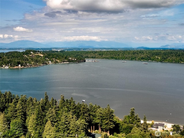 14450 Austin Pl, Anacortes, WA 98221 - water view featuring a heavily wooded area and a mountain backdrop