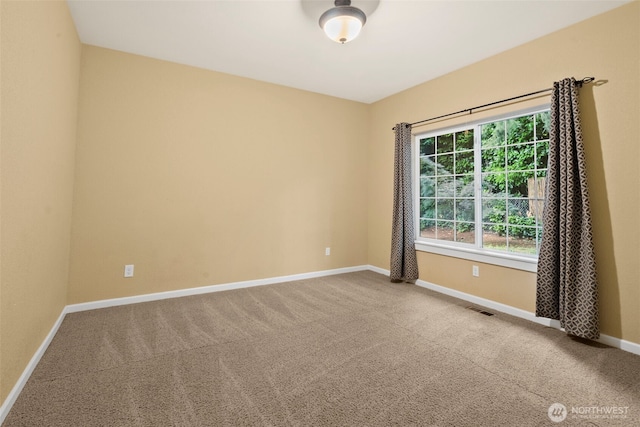 446 N St SE, Tumwater, WA 98501 - photo 11