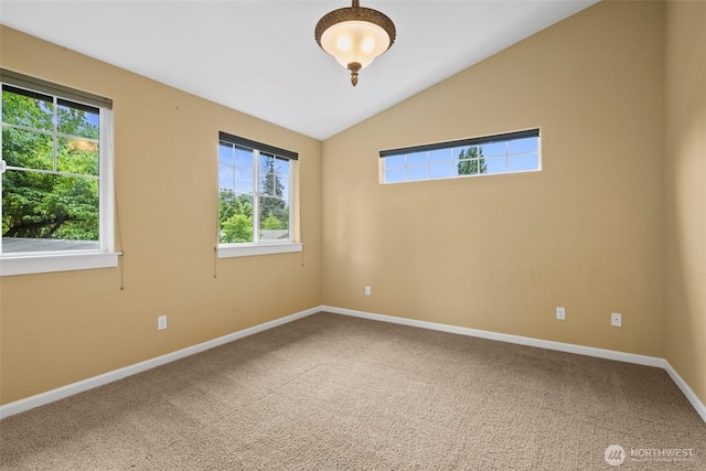 446 N St SE, Tumwater, WA 98501 - photo 17