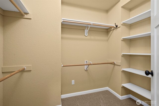 446 N St SE, Tumwater, WA 98501 - photo 18