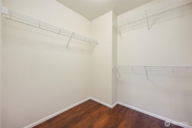 5723 66th Ave SE, Lacey, WA 98513 - walk in closet featuring dark wood-style floors