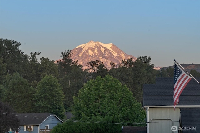 310 Olive St SE, Orting, WA 98360 - photo 31