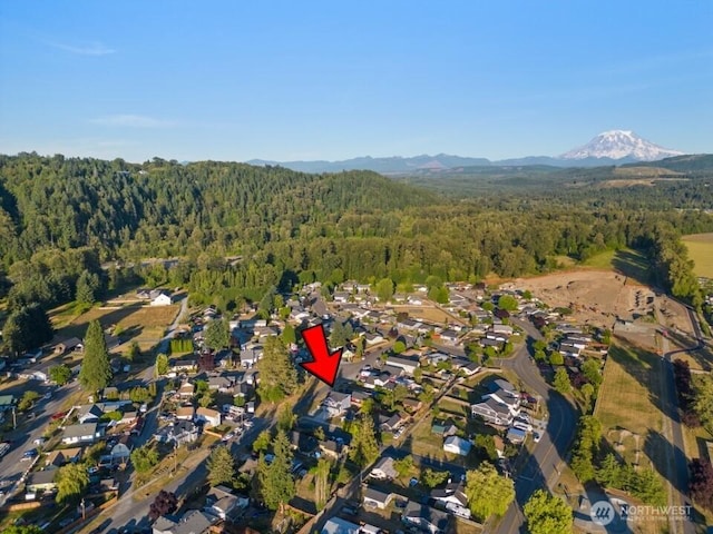 310 Olive St SE, Orting, WA 98360 - photo 33