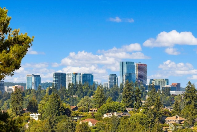 7549 SE 29th St Unit 305, Mercer Island, WA 98040 - skyline view