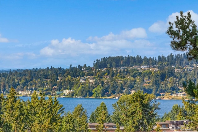 7549 SE 29th St Unit 305, Mercer Island, WA 98040 - water view with a heavily wooded area