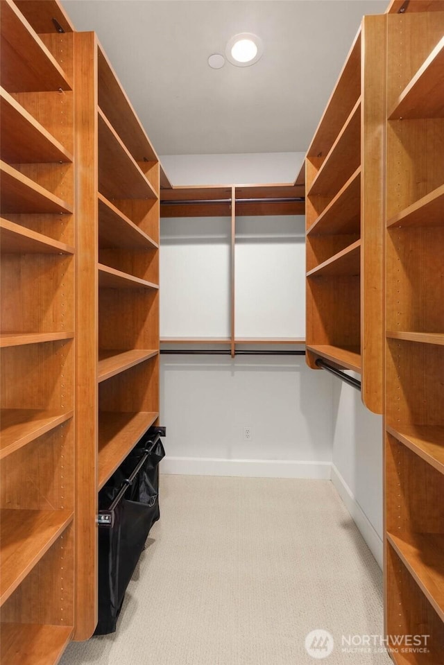 7549 SE 29th St Unit 305, Mercer Island, WA 98040 - walk in closet featuring carpet