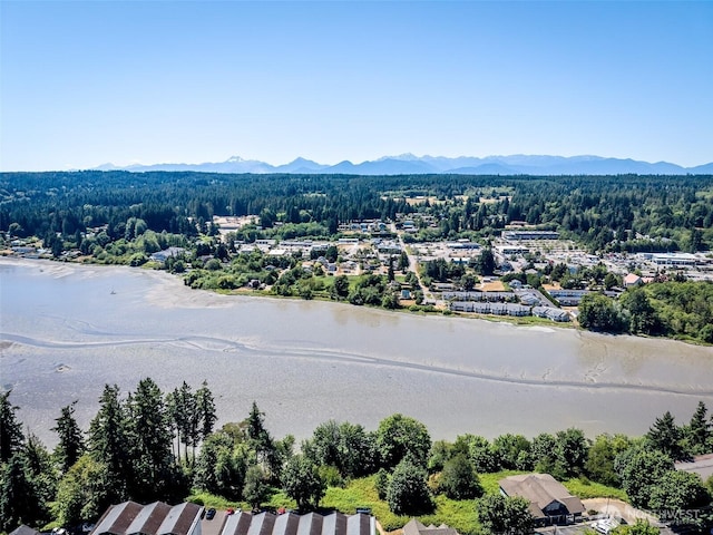 19672 Jensen Way NE, Poulsbo, WA 98370 - photo 6