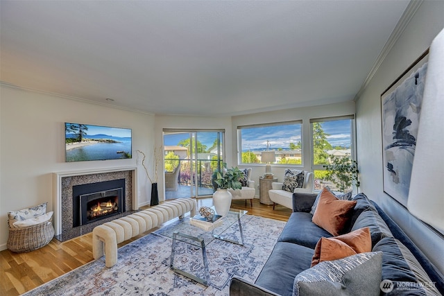 524 Maple St Unit 105, Edmonds, WA 98020 - living room with wood finished floors, plenty of natural light, crown molding, and a tiled fireplace